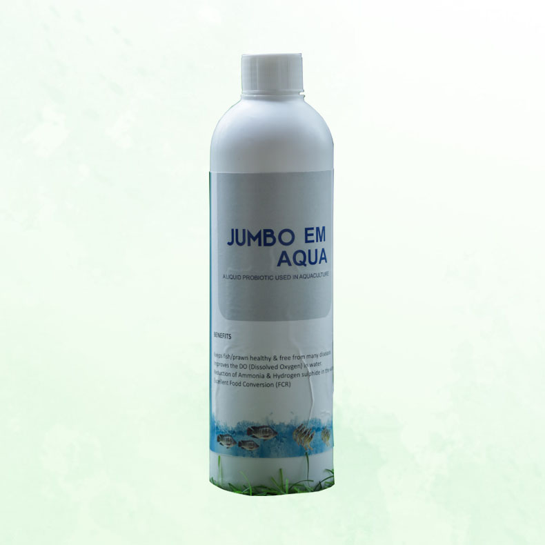 A Liquid Probiotic Used in Aquaculture